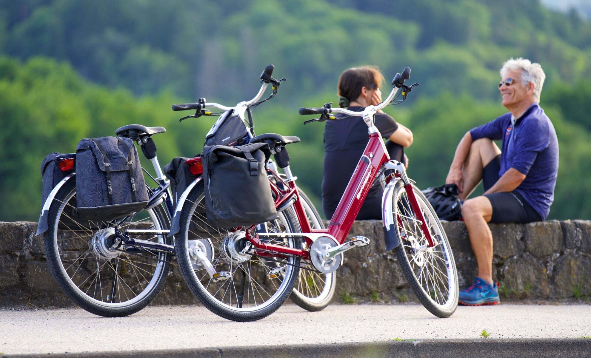 Vélo électrique et VAE